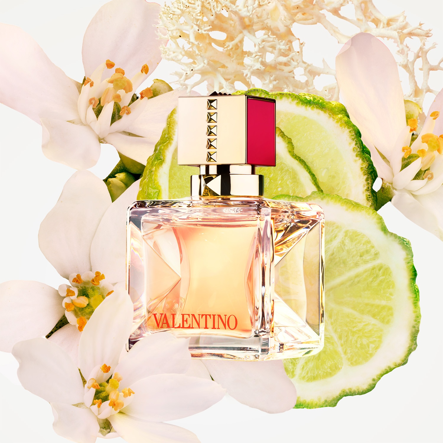 VOCE VIVA EDP